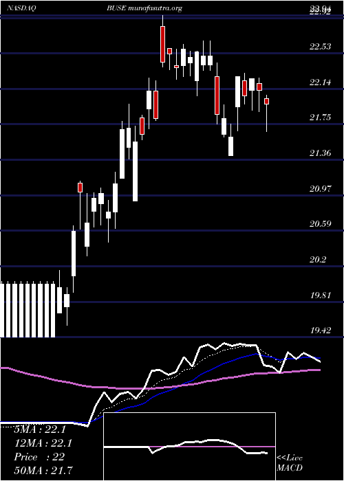  Daily chart FirstBusey