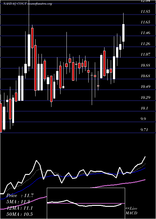  Daily chart CogintInc