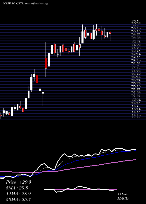  Daily chart CastleBiosciences