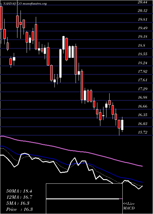  Daily chart GroceryOutlet