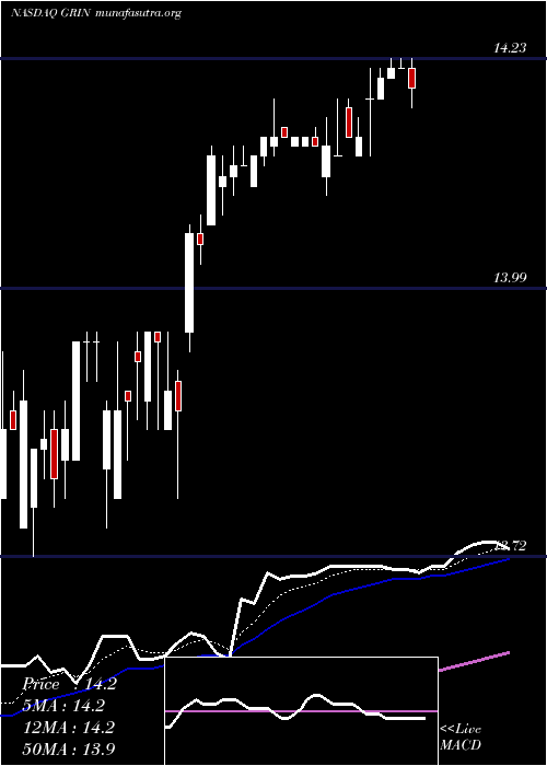  Daily chart GrindrodShipping