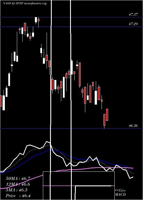  Daily chart HighYield