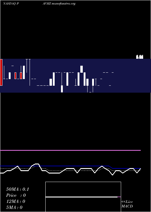  Daily chart PavmedInc