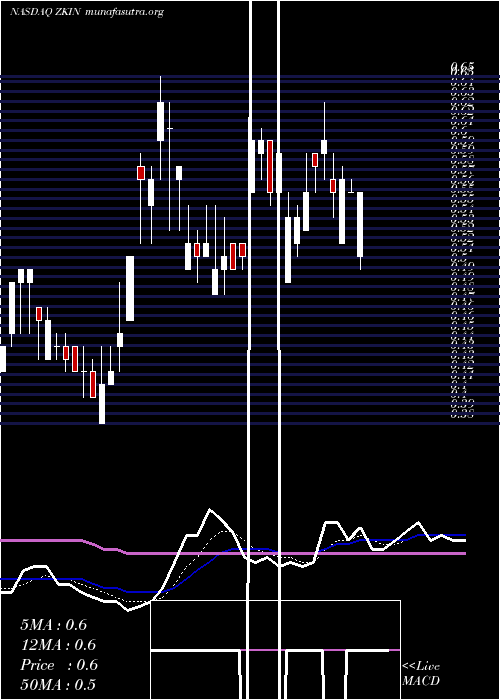  Daily chart ZkInternational