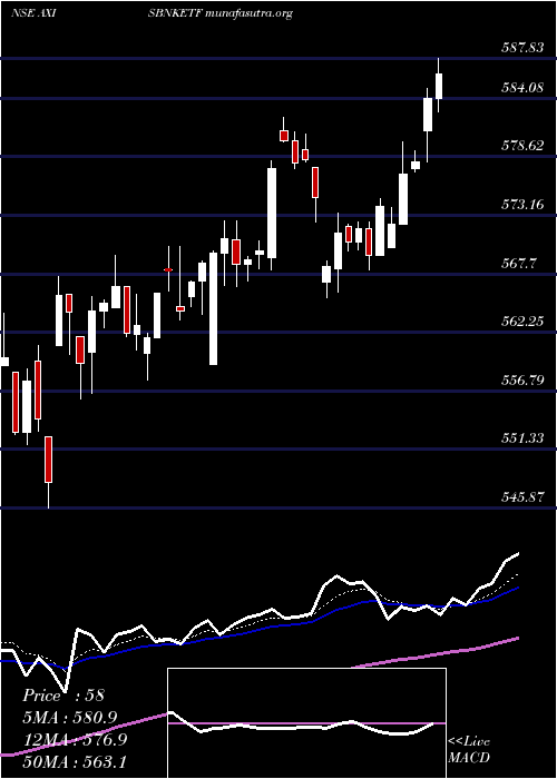  Daily chart AxisamcAxisbnketf