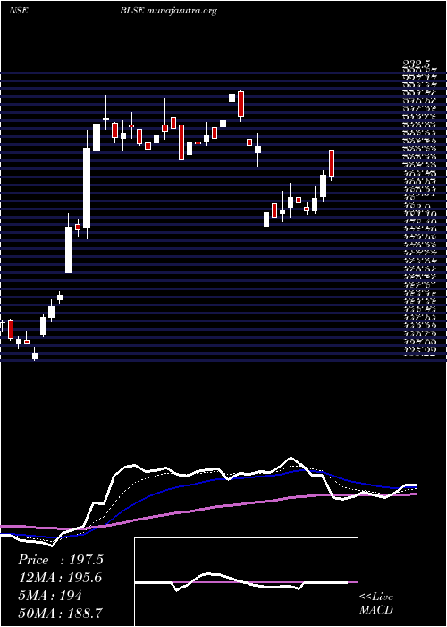  Daily chart BlsE