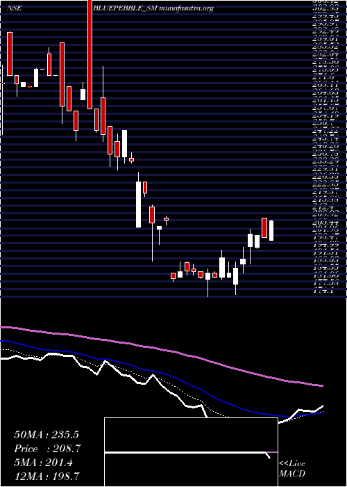  Daily chart BluePebble