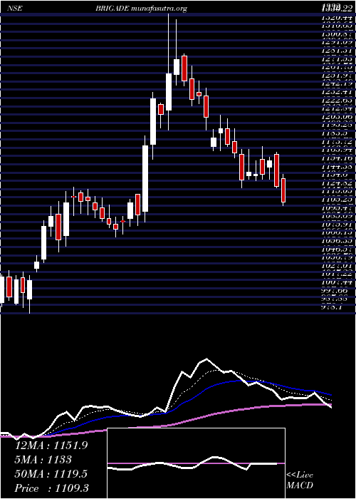  Daily chart BrigadeEnterprises