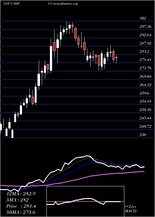  Daily chart CampusActivewear