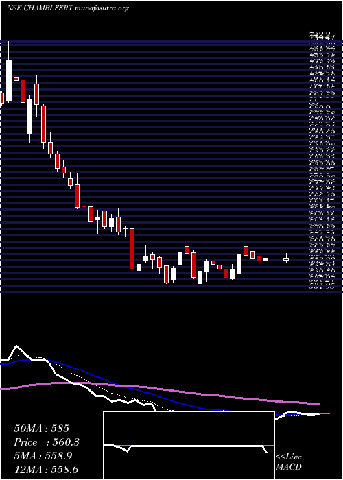  Daily chart ChambalFertilizers