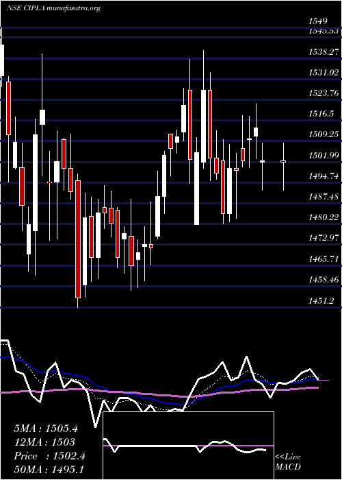  Daily chart Cipla
