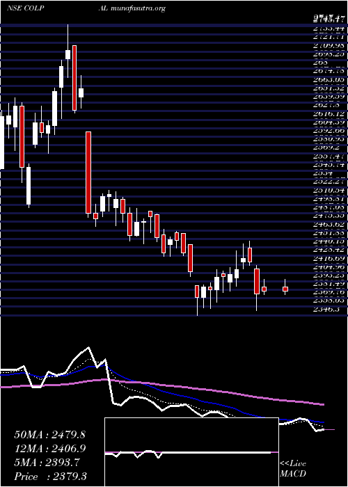  Daily chart ColgatePalmolive