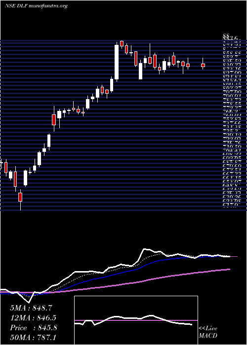  Daily chart Dlf