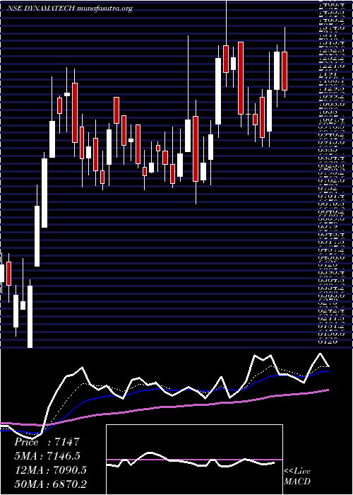  Daily chart DynamaticTechnologies