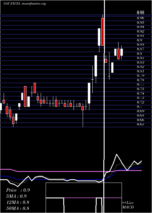  Daily chart ExcelRealty