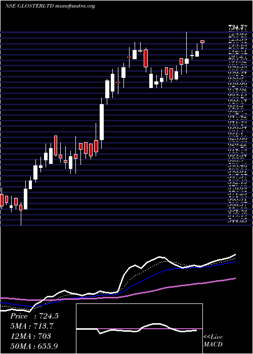  Daily chart Gloster