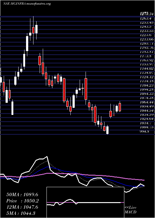  Daily chart HG