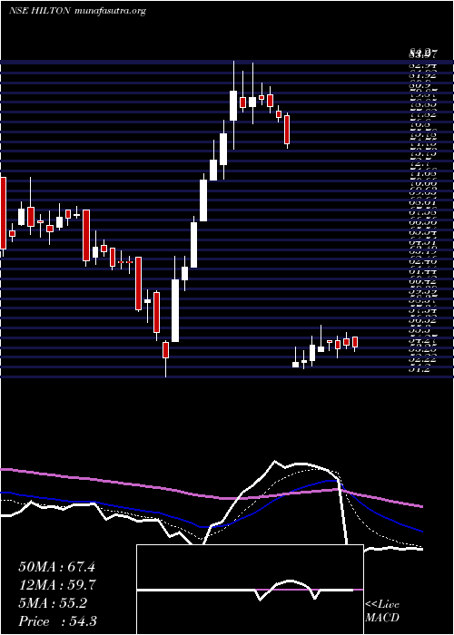  Daily chart HiltonMetal