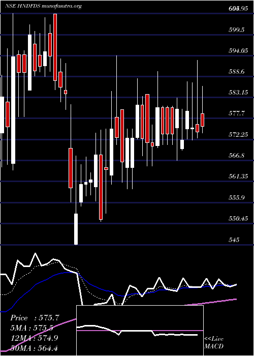  Daily chart HindustanFoods