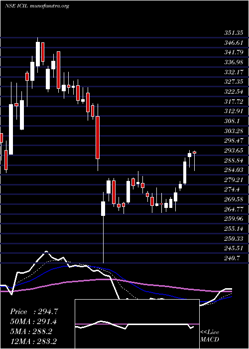  Daily chart IndoCount
