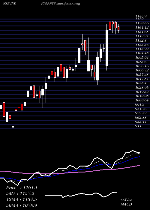 Daily chart IndigoPaints