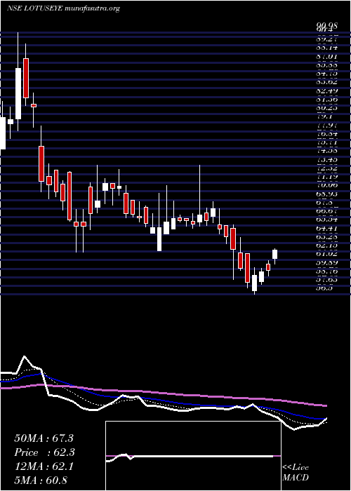  Daily chart LotusEye