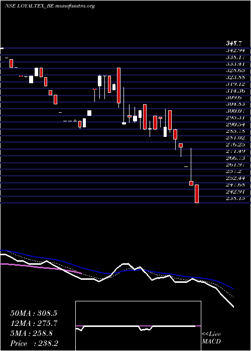  Daily chart LoyalTextile