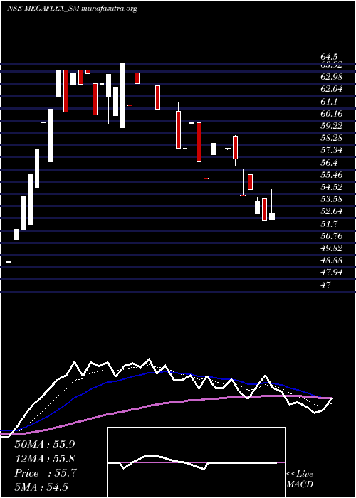  Daily chart MegaFlex
