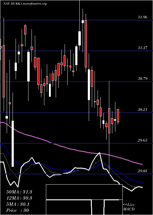 Daily chart MukkaProteins