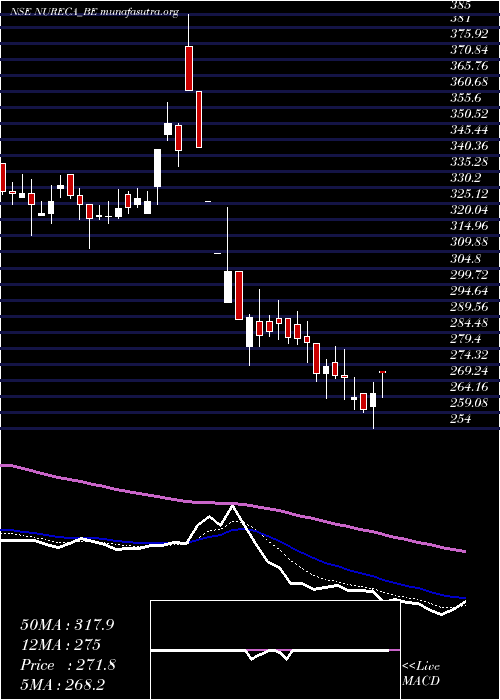  Daily chart Nureca