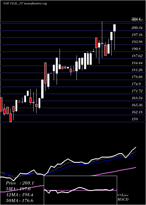 Daily chart OneclickLogistics