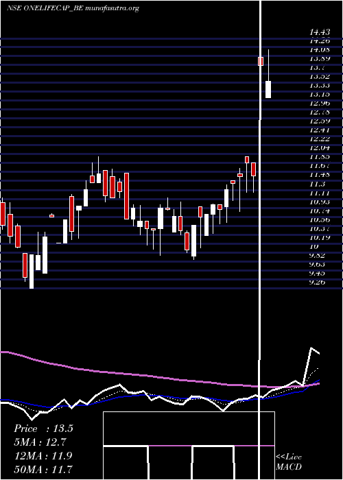  Daily chart OnelifeCap