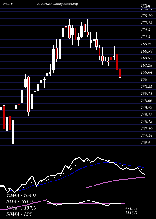  Daily chart ParadeepPhosphates