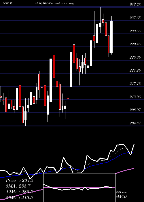  Daily chart ParagMilk