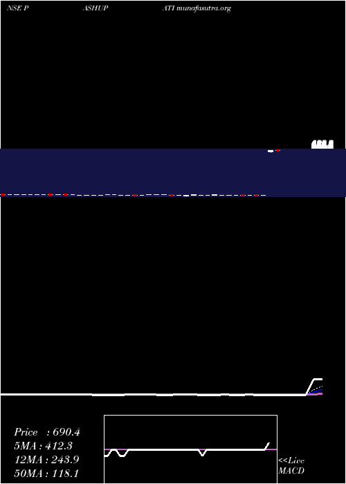  Daily chart PashupatiCotspin