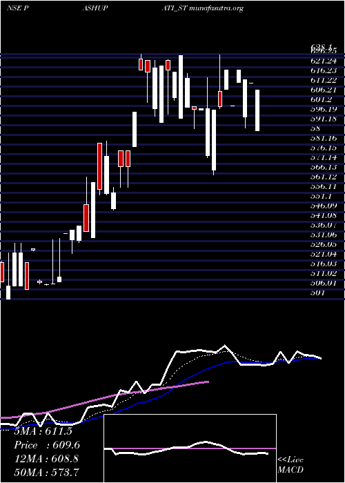  Daily chart PashupatiCotspin