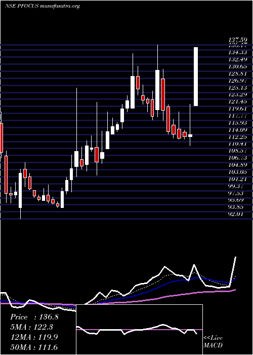  Daily chart PrimeFocus