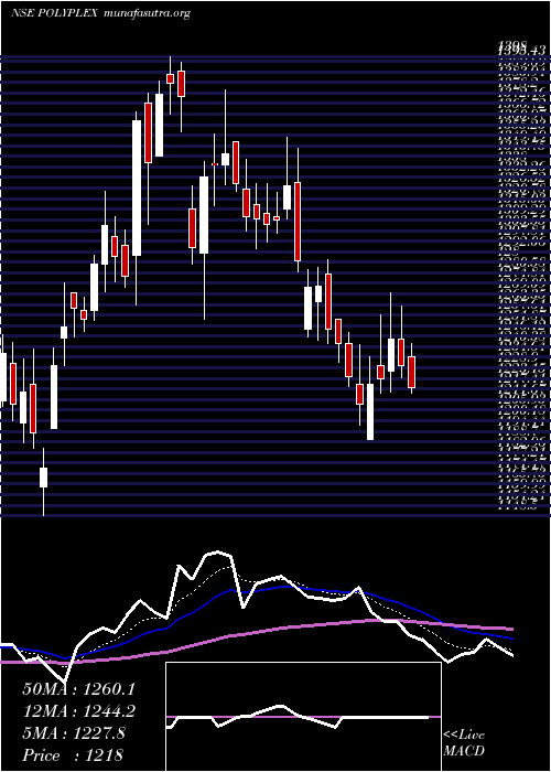  Daily chart PolyplexCorporation