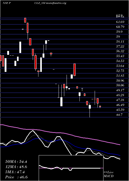  Daily chart PulzElectronics
