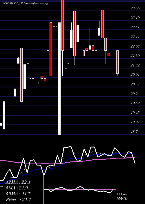  Daily chart RajgorCastor