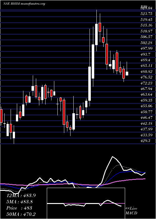  Daily chart RhiMagnesita