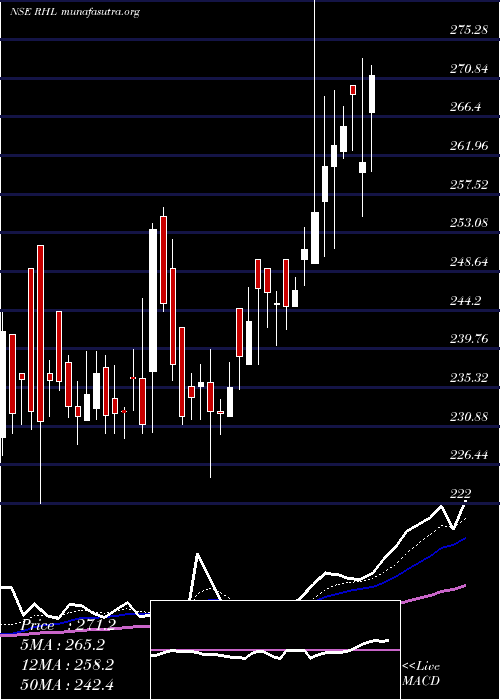  Daily chart RobustHotels