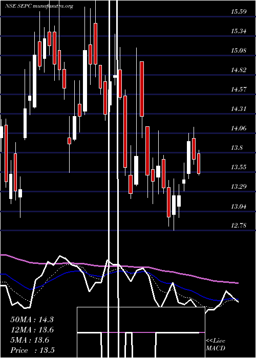  Daily chart Sepc