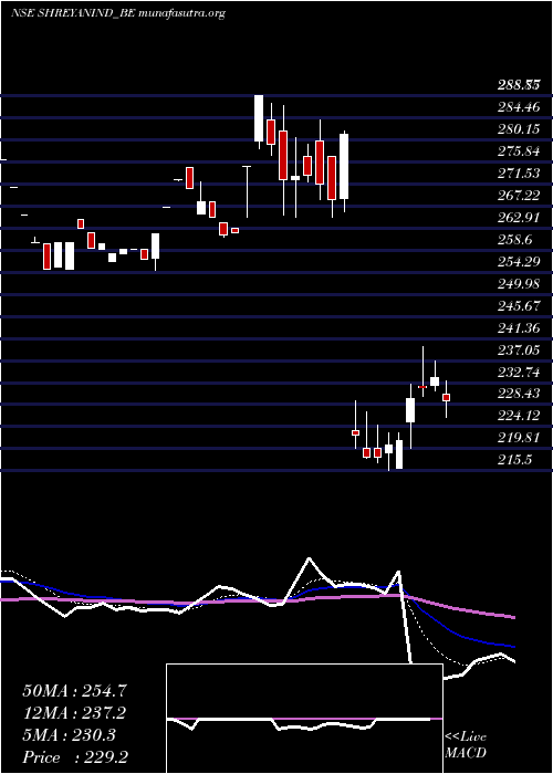  Daily chart ShreyansIndustries
