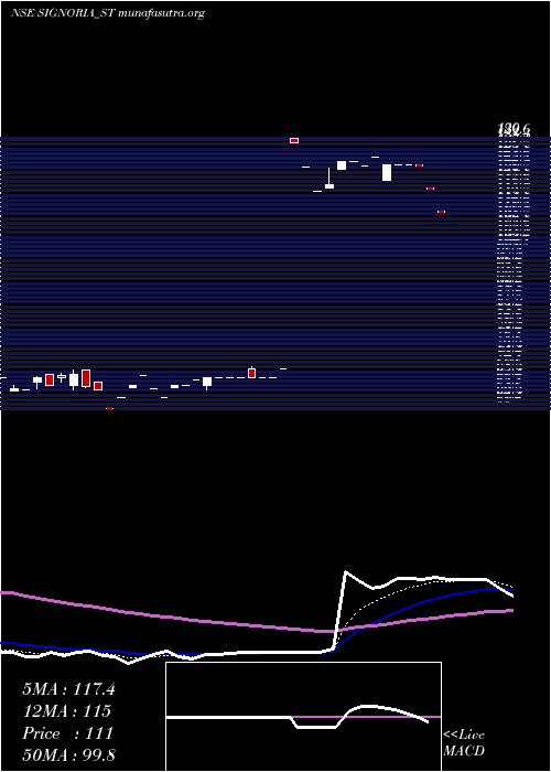  Daily chart SignoriaCreation