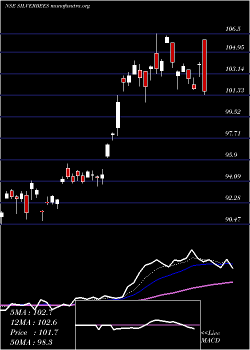  Daily chart NipponamcNetfsilver