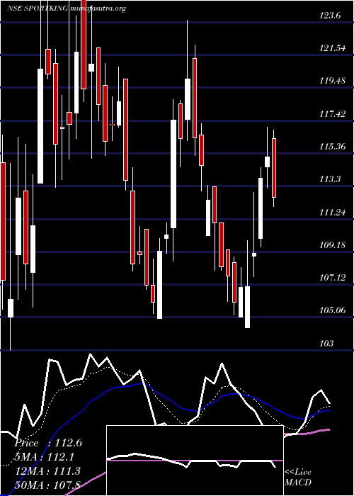  Daily chart SportkingIndia