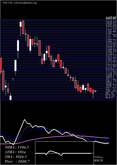  Daily chart TacInfosec