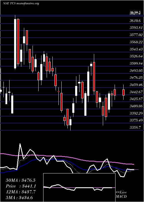  Daily chart TataConsultancy