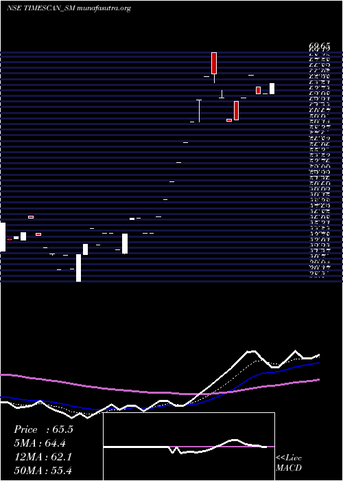  Daily chart TimescanLogistics